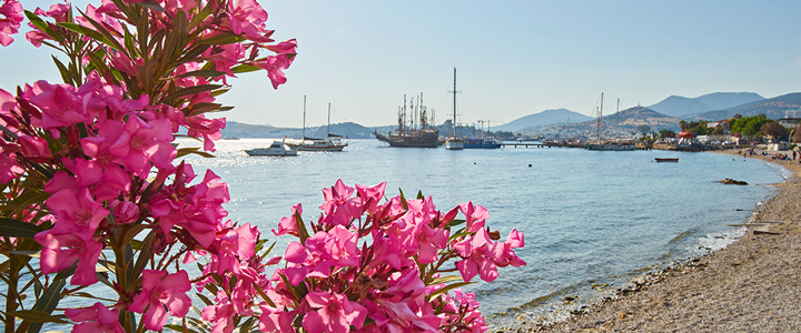 02_landingpage_Bodrum_Galerie_01_20250520