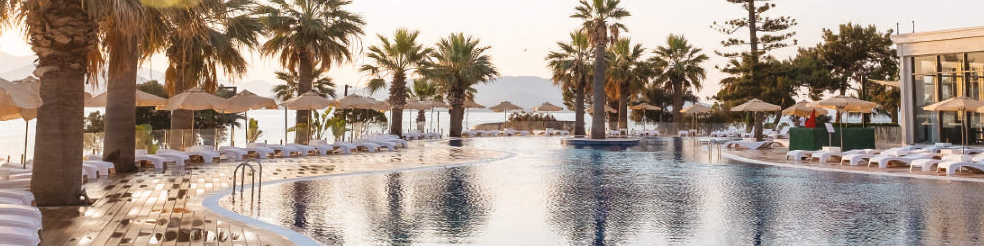 Landingpage_Duja_Didim_Head_20250520