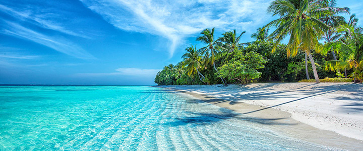 landingpage_TUIC_Galerie_01_20250512