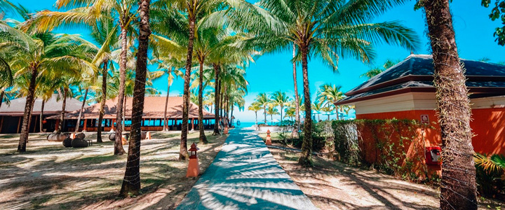Klarer hellblauer Himmel, Fokus auf einen Weg, der zum Strand führt, umgeben von zahlreichen Palmen. Sonnenlicht fällt auf die Blätter.
