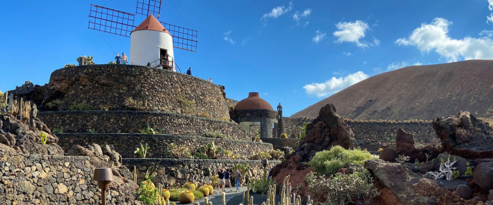 Blick auf den „Jardín de Cactus“ auf Lanzarote mit einer traditionellen weißen Windmühle auf einem Lavasteinhügel, umgeben von zahlreichen verschiedenen Kakteenarten unter blauem Himmel.